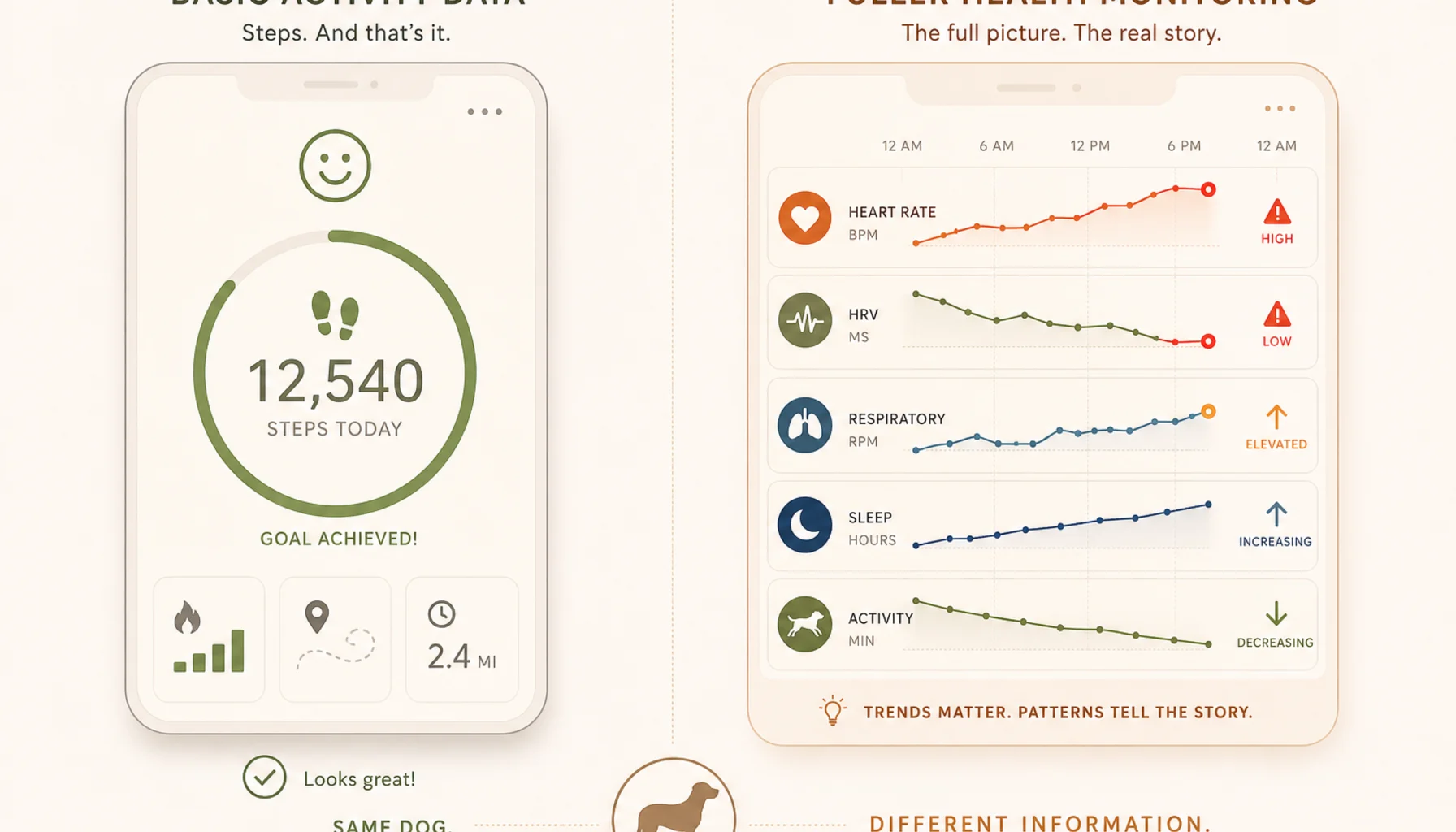 Comparison infographic: left side shows a simple activity tracker app with a step count and a smiley face, right side shows a PawPulse health timeline with heart rate, HRV, respiratory rate, sleep quality, and activity trends