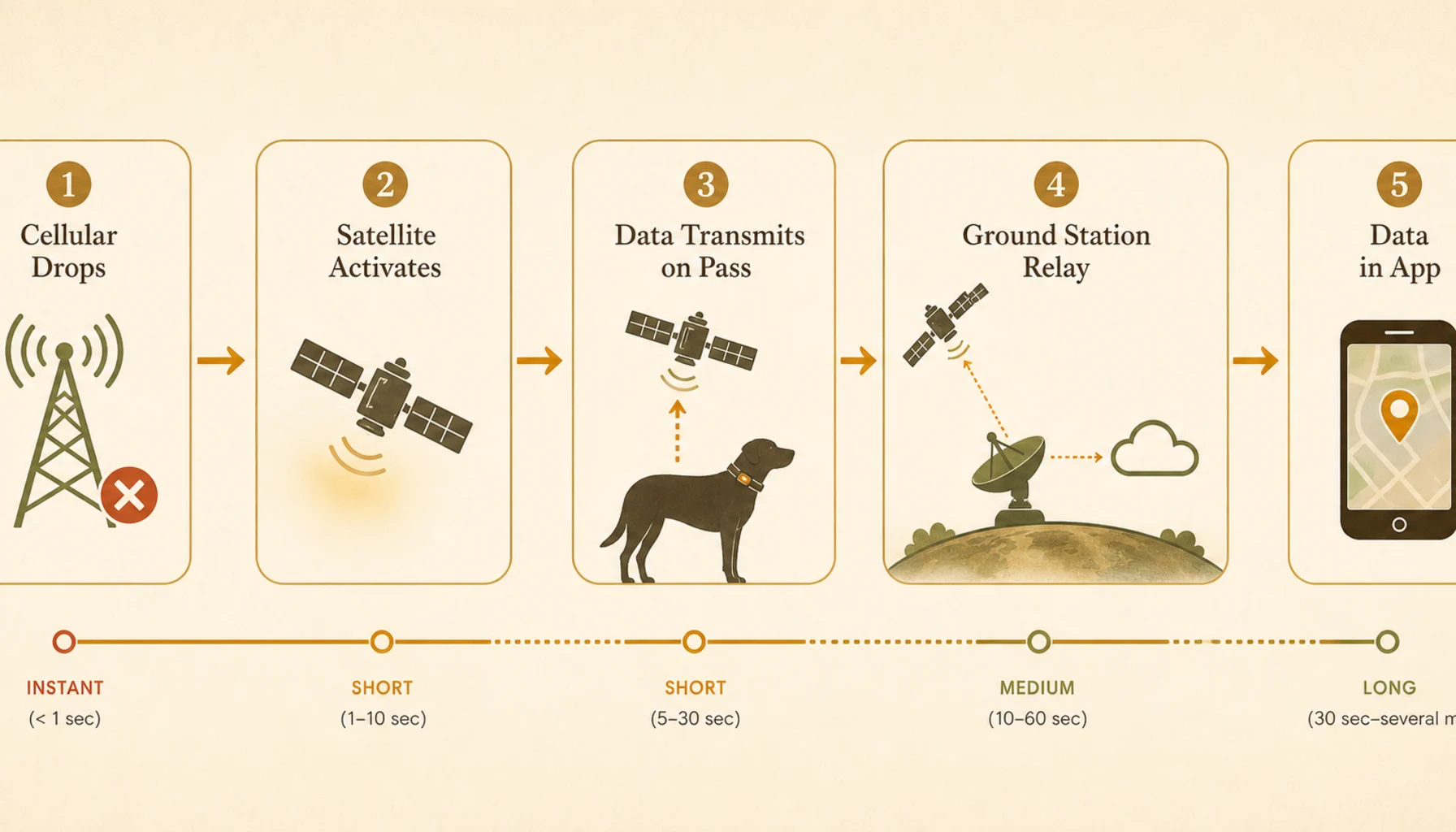 Diagram showing PawPulse collar's seamless connectivity failover: cellular signal drops, collar automatically switches to LEO satellite, data reaches owner's phone through ground station relay