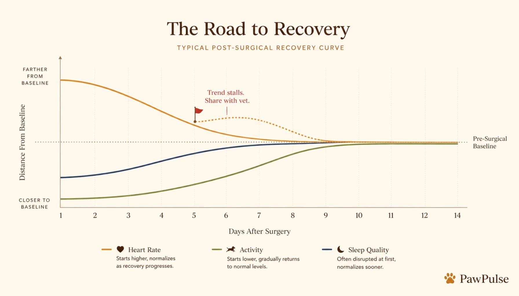 Visualization of a post-surgical recovery curve showing heart rate, activity, and sleep trending from elevated/disrupted back toward baseline over 14 days, with the recovery trajectory clearly visible