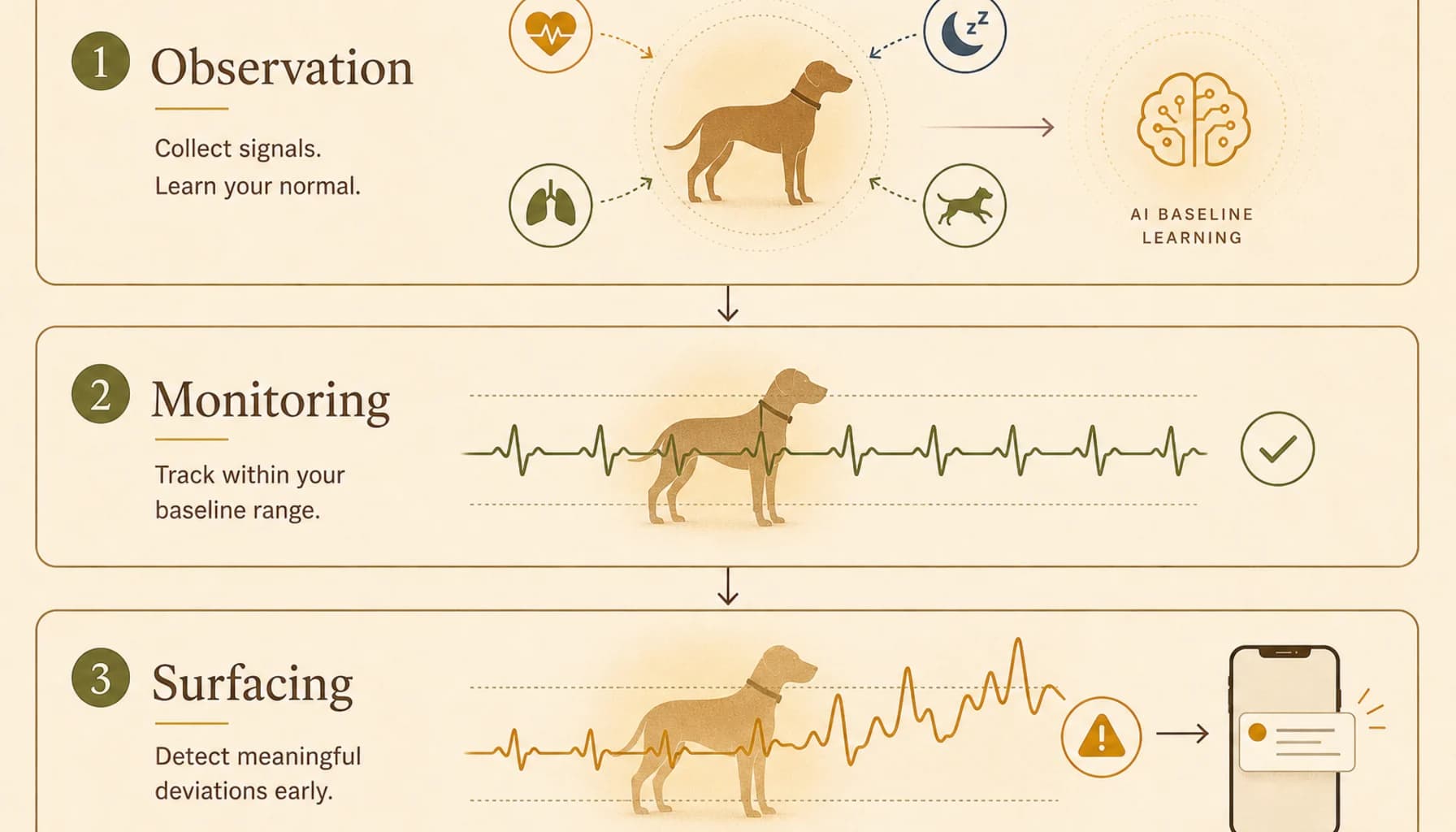 Visualization showing how Prism Insights AI builds a personal baseline over 3 weeks of data collection, then monitors for sustained deviations from that baseline across heart rate, activity, sleep, and HRV